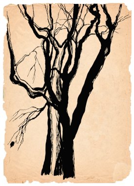 Old trees shabby paper pen drawing clipart