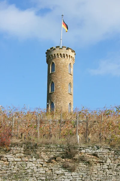 Turm im Weinberg — Zdjęcie stockowe