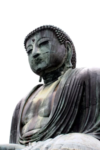 stock image Great Buddha of Kamakura (Daibutsu)