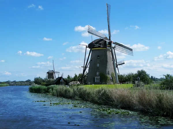 stock image Windmills in Kinderdijk.