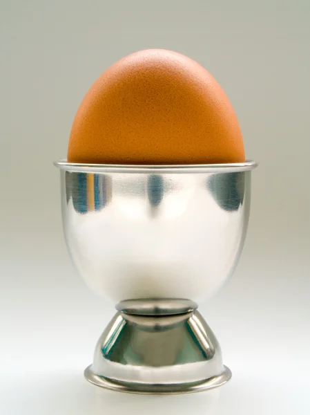 Red chicken egg in stand — Stock Photo, Image