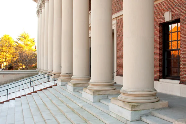 stock image Harvard Library Entrance And Steps