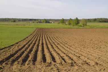 The ploughed field clipart