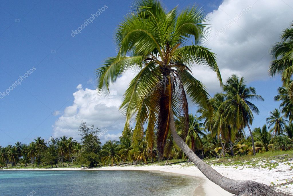 Saona  