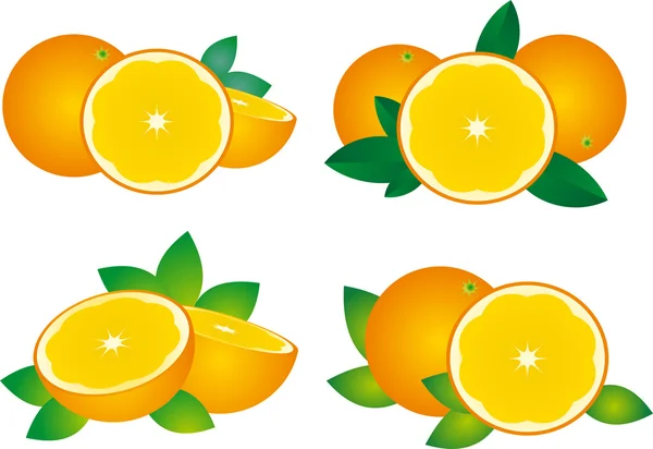 Vector naranja — Vector de stock