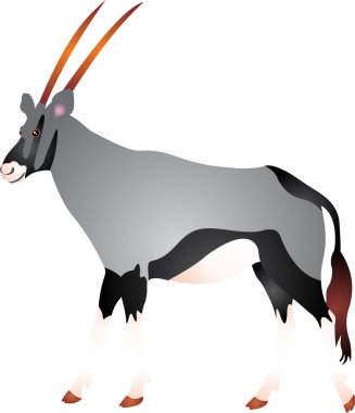 Gemsbok vector clipart