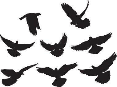 Doves vector clipart