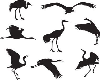 Crane vector clipart