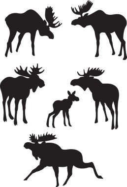 Elk vector clipart