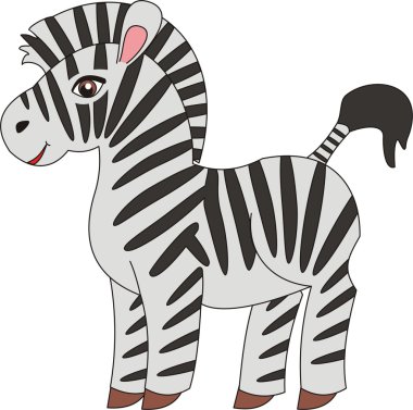 Zebra vector clipart