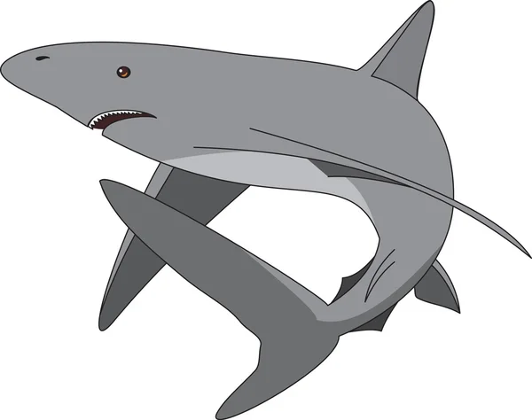 Vetor de tubarão — Vetor de Stock