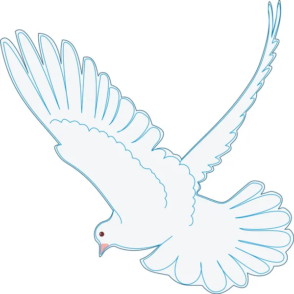 Вектор голубя — стоковый вектор