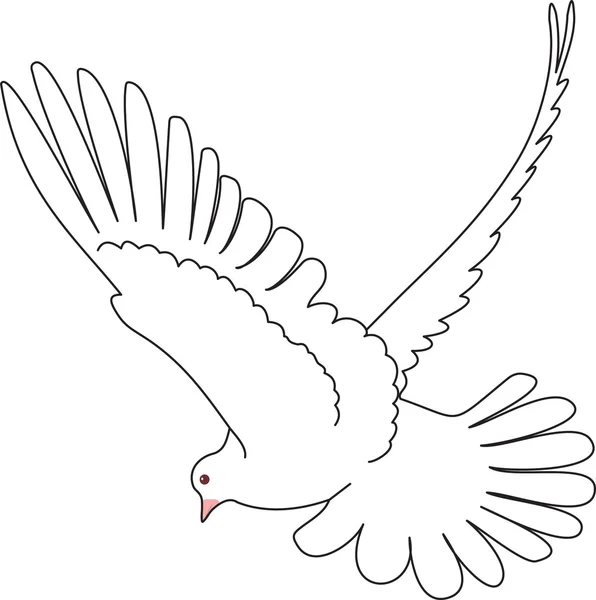 Вектор голубя — стоковый вектор