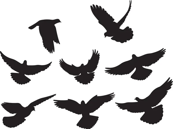 Вектор голубей — стоковый вектор