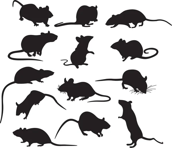 マウスのベクトル — ストックベクタ