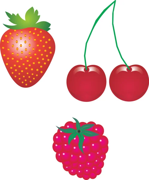 Vecteur Berry — Image vectorielle