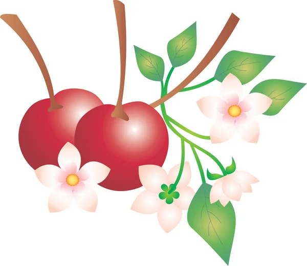 Vector de cereza — Archivo Imágenes Vectoriales