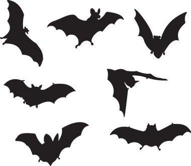 Bats vector clipart