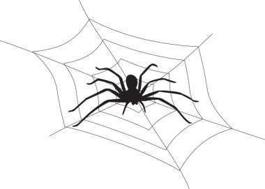 Spider vector clipart