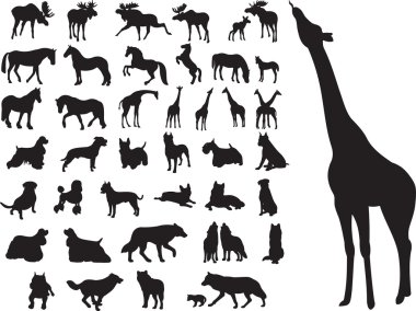 Animals vector clipart