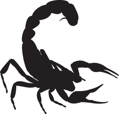 Scorpion vector clipart