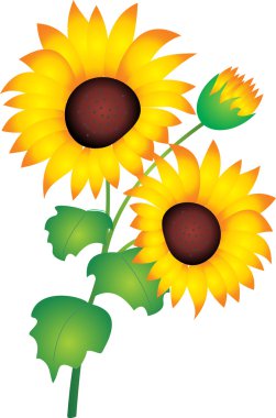 Flower vector clipart