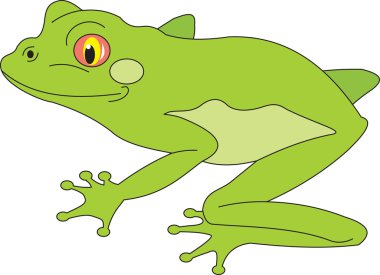 Frog vector clipart