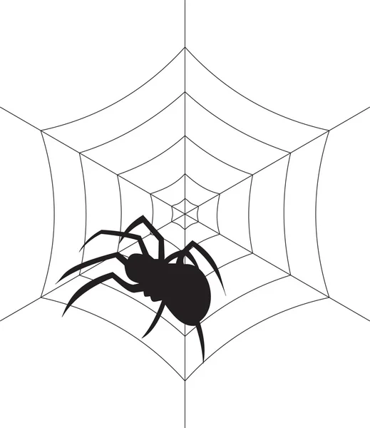 Vettore ragno — Vettoriale Stock