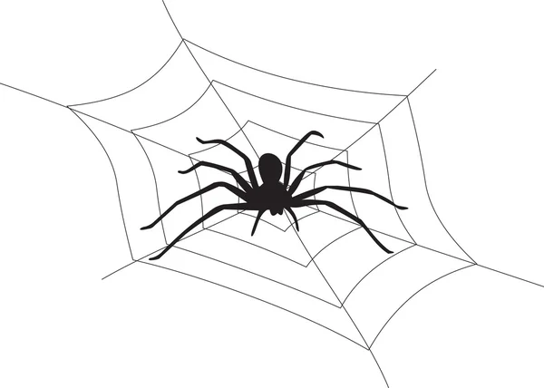 Spinnenvektor — Stockvektor