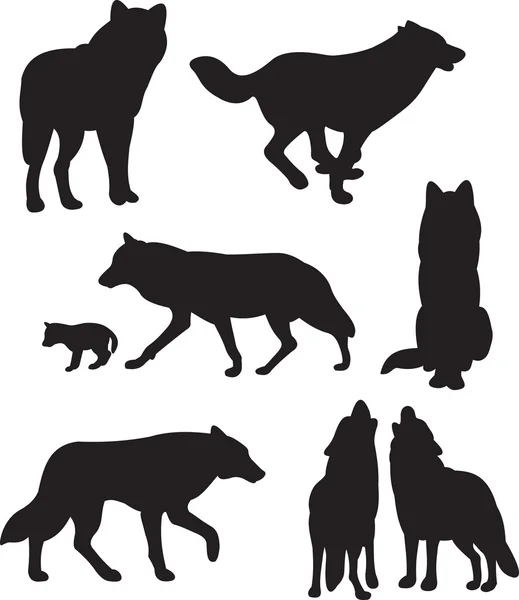 Vetor de lobos —  Vetores de Stock