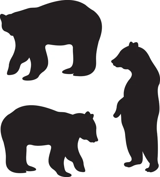 Wektor niedźwiedzia — Wektor stockowy