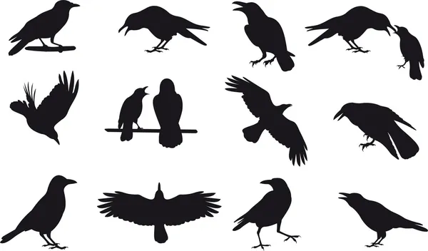 Vecteur corbeau — Image vectorielle