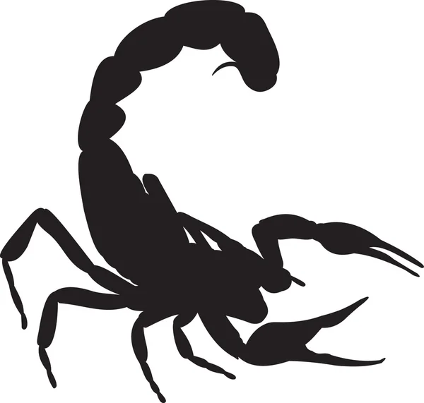 Scorpion vector — Stock Vector