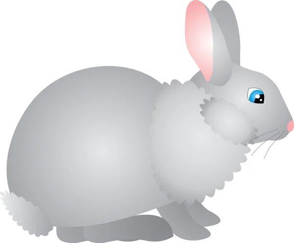 Tavşan vektör — Stok Vektör