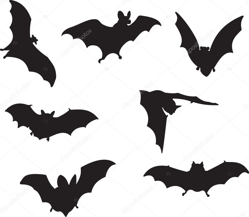 Bats vector