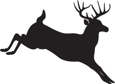 Deer vector clipart