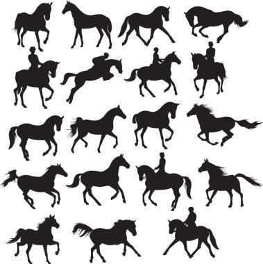 Horse vector clipart