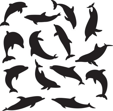 Dolphins vector clipart