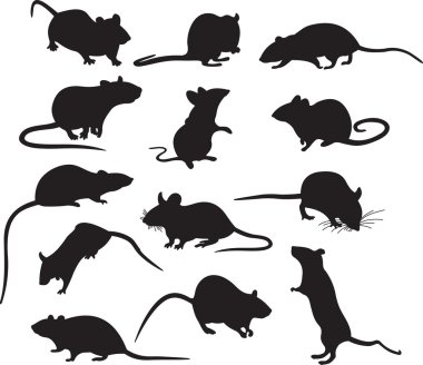 Mouse vector clipart