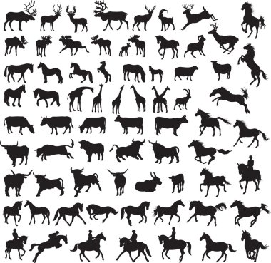 Animals vector clipart