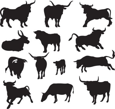 Bull vector clipart