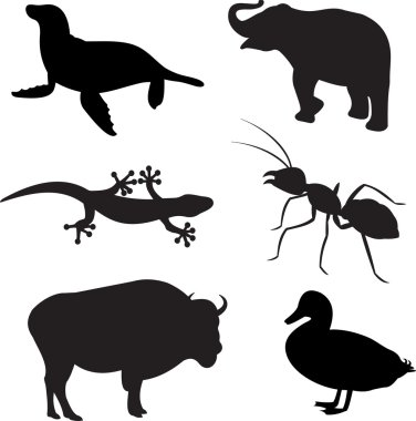 Animals vector clipart