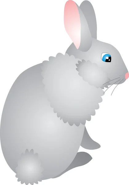 Кролик вектор — стоковий вектор