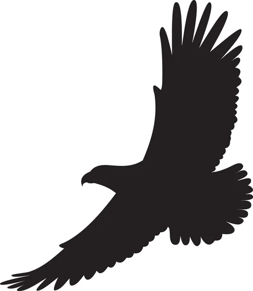 Vetor de águia — Vetor de Stock