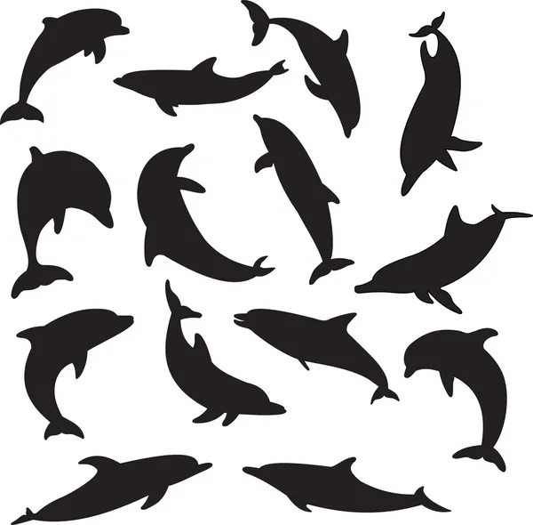 Vetor de golfinhos — Vetor de Stock