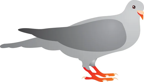 Vogelvektor — Stockvektor