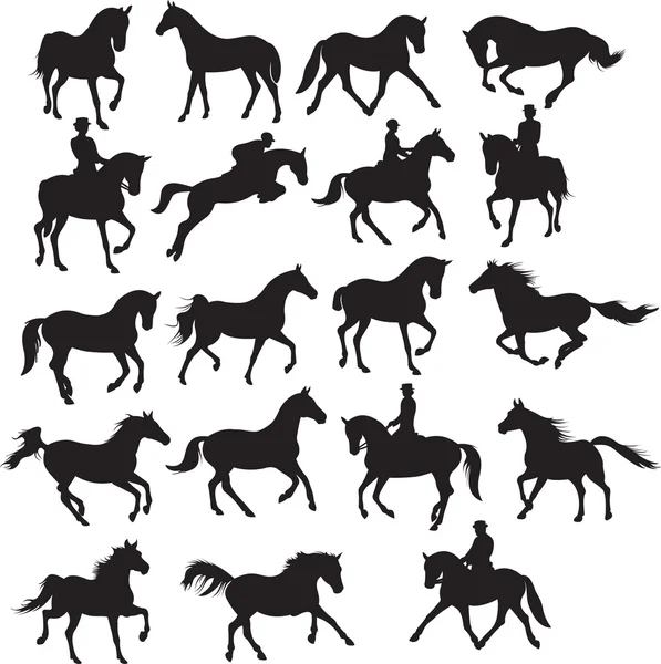 Paardenvector — Stockvector