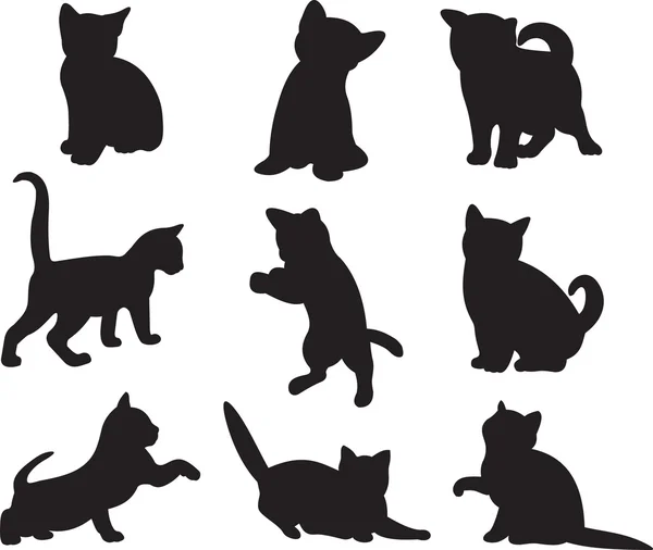 Кішка вектор — стоковий вектор