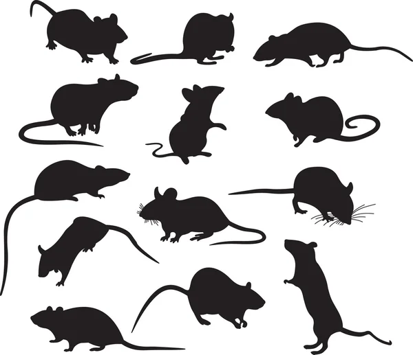 Миші вектор — стоковий вектор