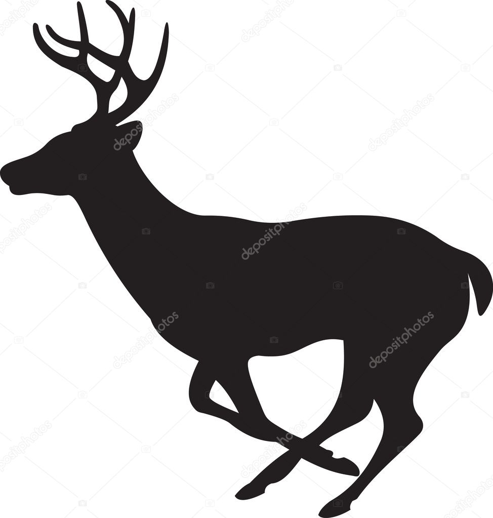 Deer vector — Stock Vector © abrakadabra #2480125 - 974 x 1023 jpeg 48kB
